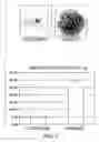 Fig. 02 - Genes that confer regeneration ability to plants, and uses thereof