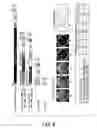 Fig. 09 - Genes that confer regeneration ability to plants, and uses thereof