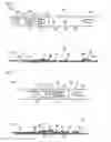Fig. 02 - Boot band
