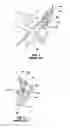 Fig. 03 - Carabiners having a captive eye opening