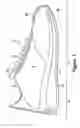 Fig. 02 - Article of footwear with a removable foot-supporting insert