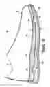 Fig. 13 - Article of footwear with a removable foot-supporting insert