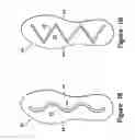 Fig. 17 - Article of footwear with a removable foot-supporting insert
