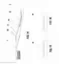 Fig. 06 - SOUVENIR TOILETRY ARTICLE, INCLUDING A TOOTHBRUSH, FLOSSER, HAIR COMB OR HAIR BRUSH