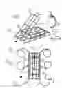 Fig. 02 - Castable crab trap