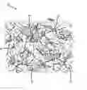 Fig. 01 - Blended mulch products for spray application to a surface