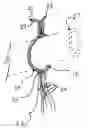 Fig. 01 - Hunting wind sensor