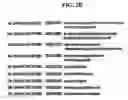 Fig. 04 - Apparatus, system and method for extracting structure of song lyrics using repeated pattern thereof