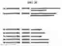 Fig. 05 - Apparatus, system and method for extracting structure of song lyrics using repeated pattern thereof