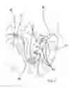 Fig. 06 - Apparatus for brewing coffee