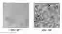 Fig. 04 - NON-SPHERICAL SEMICONDUCTOR NANOCRYSTALS AND METHODS OF MAKING THEM