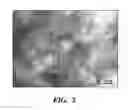 Fig. 05 - NON-SPHERICAL SEMICONDUCTOR NANOCRYSTALS AND METHODS OF MAKING THEM