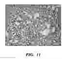 Fig. 19 - NON-SPHERICAL SEMICONDUCTOR NANOCRYSTALS AND METHODS OF MAKING THEM