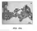 Fig. 20 - NON-SPHERICAL SEMICONDUCTOR NANOCRYSTALS AND METHODS OF MAKING THEM