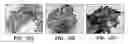 Fig. 22 - NON-SPHERICAL SEMICONDUCTOR NANOCRYSTALS AND METHODS OF MAKING THEM