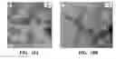 Fig. 30 - NON-SPHERICAL SEMICONDUCTOR NANOCRYSTALS AND METHODS OF MAKING THEM