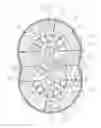Fig. 02 - Pan breeder feeder