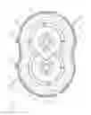 Fig. 35 - Pan breeder feeder