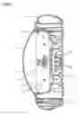 Fig. 07 - Hatching apparatus for learners