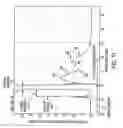 Fig. 12 - System and method of selecting data content of ionization signal