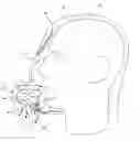 Fig. 01 - Valve system for underwater diving equipment