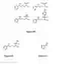 Fig. 04 - Molecularly imprinted polymers selective for nitrosamines and method of preparing the same