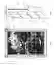 Fig. 02 - Decorative wall covering assembly