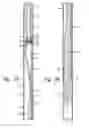 Fig. 03 - ONE TRIP MILLING SYSTEM