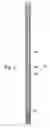 Fig. 03 - Running and cementing tubing