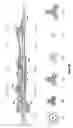 Fig. 09 - Method and apparatus to complete a well having tubing inserted through a valve