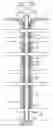 Fig. 01 - Method and apparatus for a monodiameter wellbore, monodiameter casing, monobore, and/or monowell