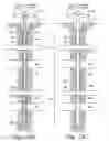 Fig. 15 - Method and apparatus for a monodiameter wellbore, monodiameter casing, monobore, and/or monowell