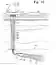 Fig. 19 - Method and apparatus for a monodiameter wellbore, monodiameter casing, monobore, and/or monowell