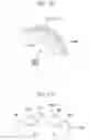 Fig. 17 - Electric power steering apparatus