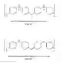 Fig. 02 - Conducting polymer nanofiber sensors