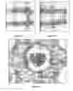 Fig. 24 - Three dimensional dielectrophoretic separator and methods of use
