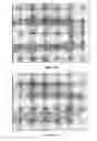 Fig. 27 - Three dimensional dielectrophoretic separator and methods of use
