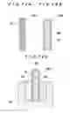 Fig. 12 - Electrolytic processing apparatus and electrolytic processing method