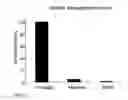 Fig. 14 - Method of preparing a macromolecule deterrent surface on a pharmaceutical package