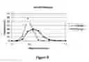 Fig. 07 - High-throughput asymmetric membrane