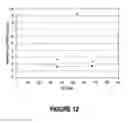 Fig. 09 - High-throughput asymmetric membrane