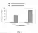Fig. 04 - MINERAL IONS IN STRUCTURED WATER