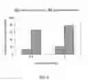 Fig. 06 - MINERAL IONS IN STRUCTURED WATER