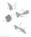 Fig. 07 - HYGIENIC BEVERAGE CAN LID
