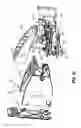 Fig. 18 - Metering and dispensing closure