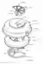 Fig. 31 - Metering and dispensing closure