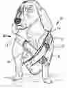 Fig. 01 - Doggy camelback