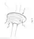 Fig. 09 - CARD PRINTER HAVING A CAM TO PUSH A MAGNETIC HEAD BEARER AWAY FROM AN ENCODER ROLLER