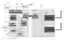 Fig. 09 - Multiple device and/or user association