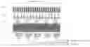 Fig. 01 - Photoelectric encoder having multiple light-receiving elements